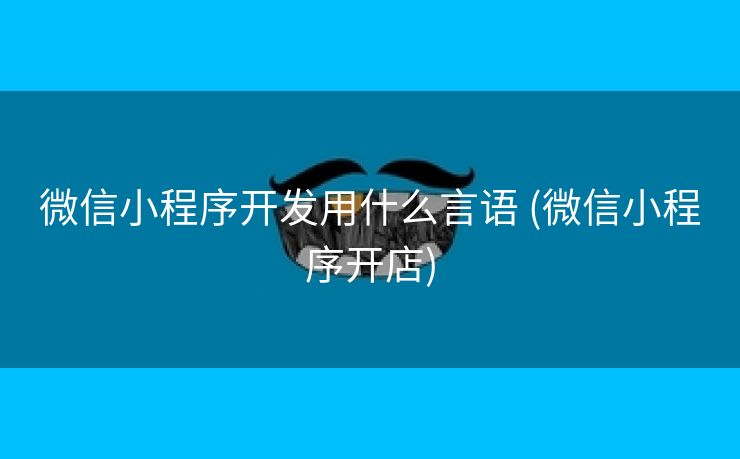 微信小程序开发用什么言语 (微信小程序开店)