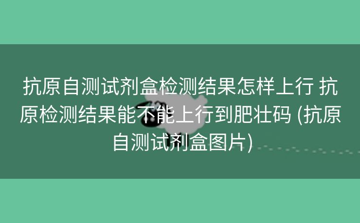 抗原自测试剂盒检测结果怎样上行 抗原检测结果能不能上行到肥壮码 (抗原自测试剂盒图片)