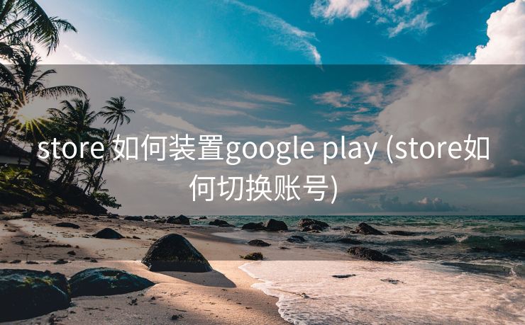 store 如何装置google play (store如何切换账号)