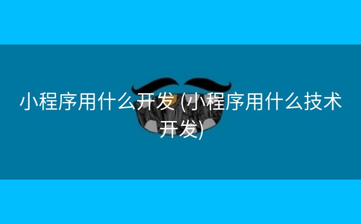 小程序用什么开发 (小程序用什么技术开发)