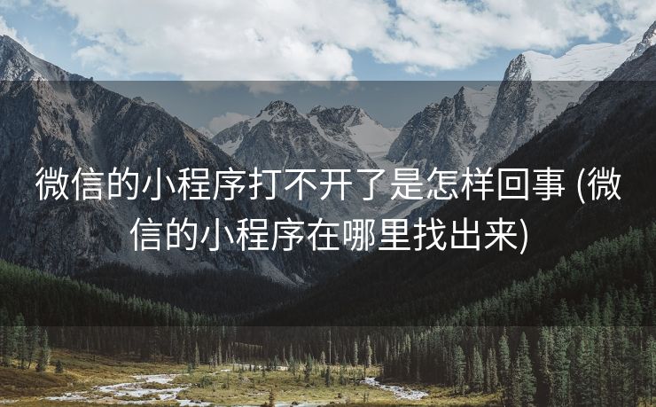 微信的小程序打不开了是怎样回事 (微信的小程序在哪里找出来)