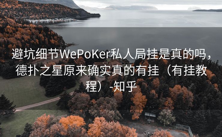 避坑细节WePoKer私人局挂是真的吗，德扑之星原来确实真的有挂（有挂教程）-知乎