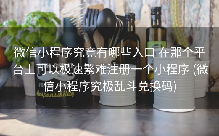 微信小程序究竟有哪些入口 在那个平台上可以极速繁难注册一个小程序 (微信小程序究极乱斗兑换码)