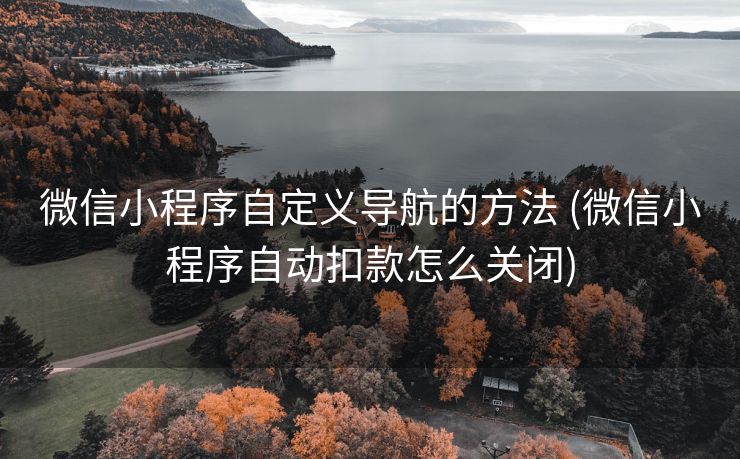 微信小程序自定义导航的方法 (微信小程序自动扣款怎么关闭)