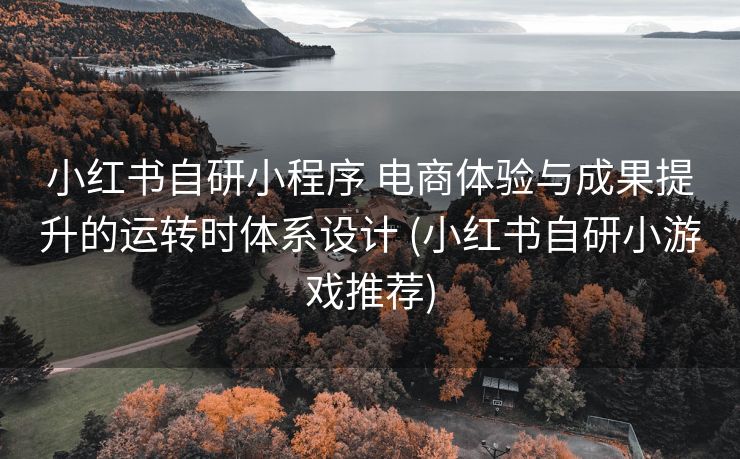 小红书自研小程序 电商体验与成果提升的运转时体系设计 (小红书自研小游戏推荐)