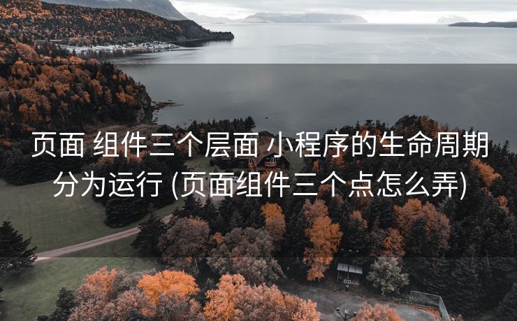 页面 组件三个层面 小程序的生命周期分为运行 (页面组件三个点怎么弄)