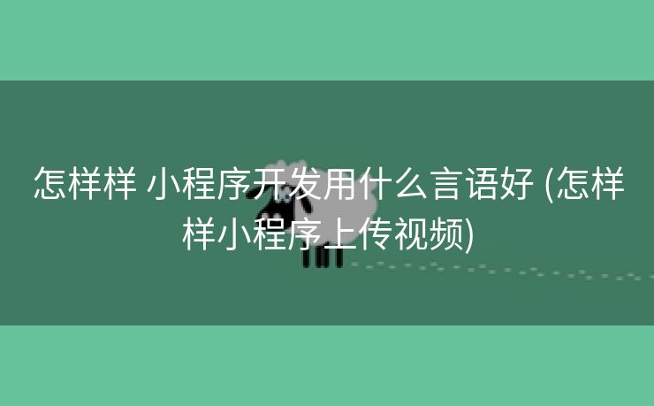 怎样样 小程序开发用什么言语好 (怎样样小程序上传视频)