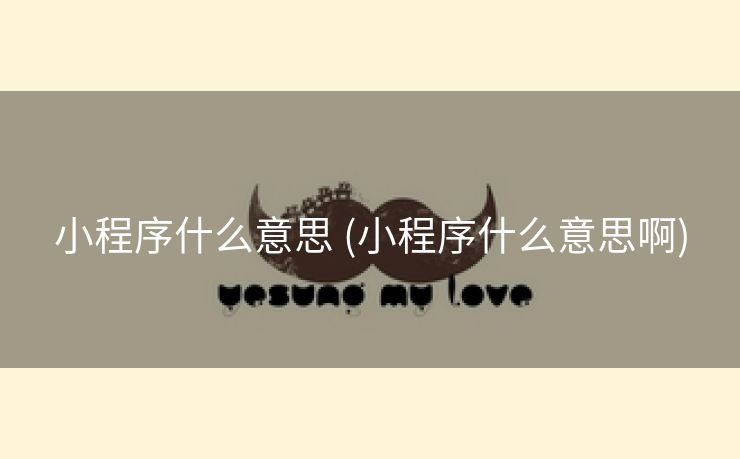 小程序什么意思 (小程序什么意思啊)