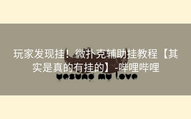 玩家发现挂！微扑克辅助挂教程【其实是真的有挂的】-哔哩哔哩