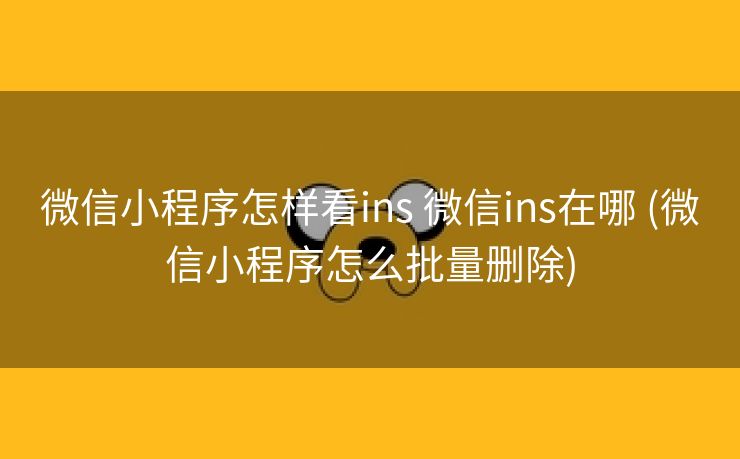 微信小程序怎样看ins 微信ins在哪 (微信小程序怎么批量删除)