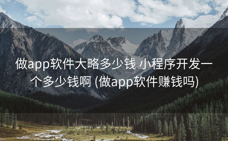 做app软件大略多少钱 小程序开发一个多少钱啊 (做app软件赚钱吗)