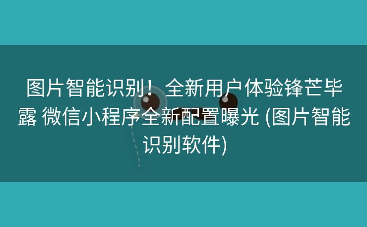 图片智能识别！全新用户体验锋芒毕露 微信小程序全新配置曝光 (图片智能识别软件)
