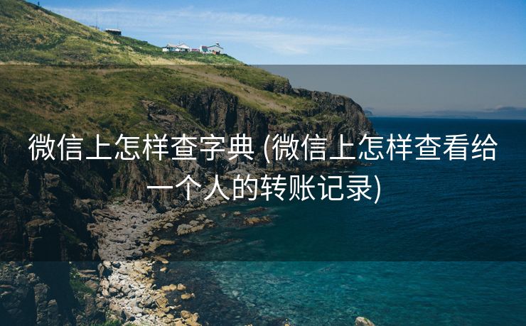 微信上怎样查字典 (微信上怎样查看给一个人的转账记录)
