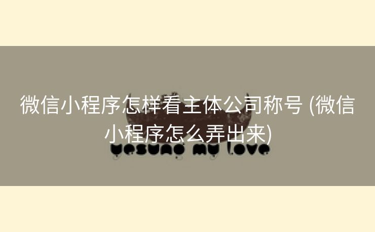 微信小程序怎样看主体公司称号 (微信小程序怎么弄出来)