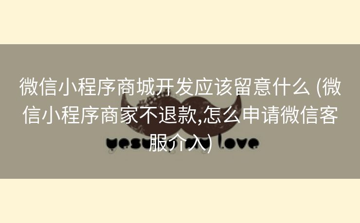 微信小程序商城开发应该留意什么 (微信小程序商家不退款,怎么申请微信客服介入)