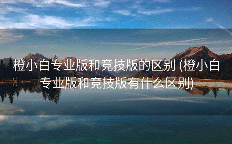 橙小白专业版和竞技版的区别 (橙小白专业版和竞技版有什么区别)