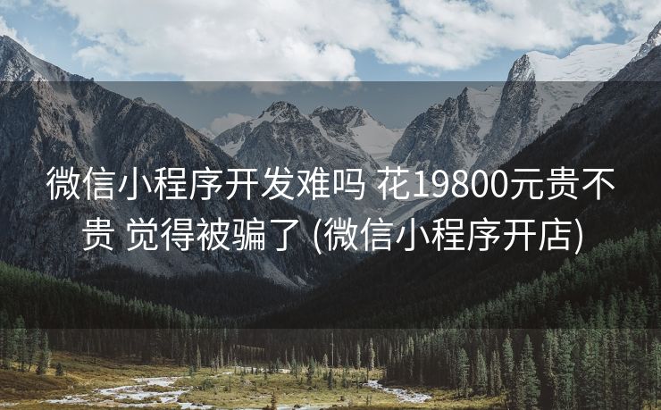 微信小程序开发难吗 花19800元贵不贵 觉得被骗了 (微信小程序开店)