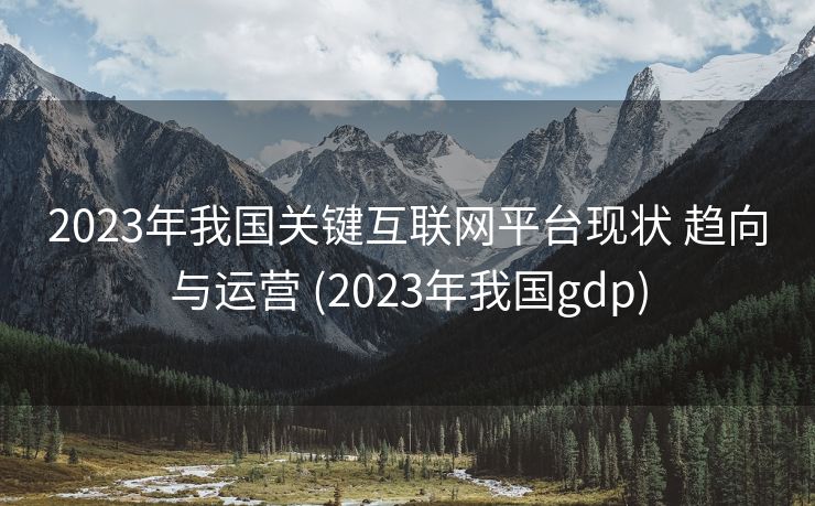 2023年我国关键互联网平台现状 趋向与运营 (2023年我国gdp)