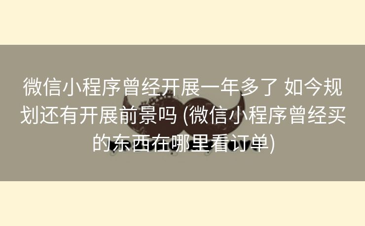 微信小程序曾经开展一年多了 如今规划还有开展前景吗 (微信小程序曾经买的东西在哪里看订单)