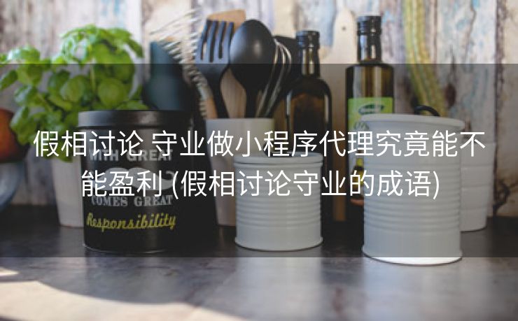 假相讨论 守业做小程序代理究竟能不能盈利 (假相讨论守业的成语)