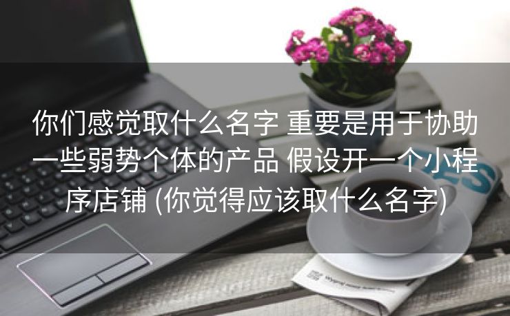 你们感觉取什么名字 重要是用于协助一些弱势个体的产品 假设开一个小程序店铺 (你觉得应该取什么名字)