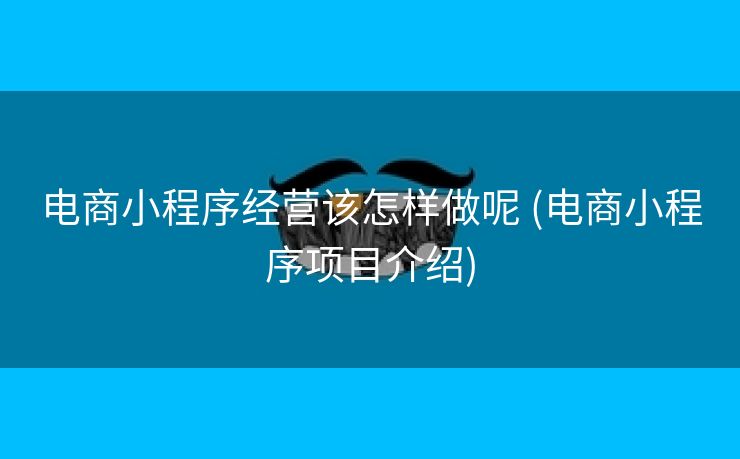 电商小程序经营该怎样做呢 (电商小程序项目介绍)