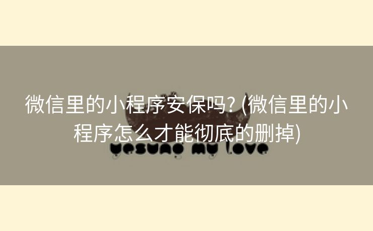 微信里的小程序安保吗? (微信里的小程序怎么才能彻底的删掉)