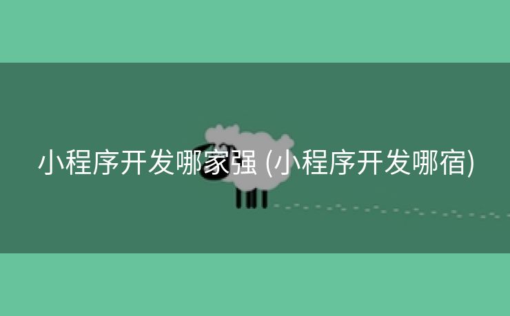 小程序开发哪家强 (小程序开发哪宿)