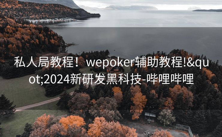 私人局教程!wepoker辅助教程!"2024新研发黑科技-哔哩哔哩 私人局教程!wepoker辅助教程!"2024新研发黑科技-哔哩哔哩