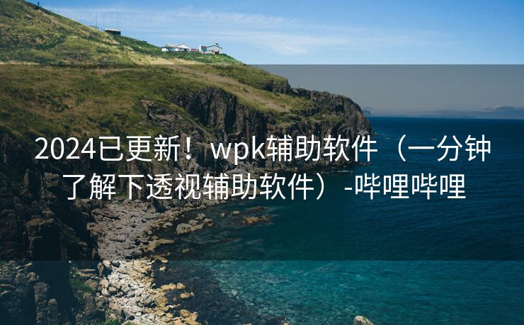 2024已更新！wpk辅助软件（一分钟了解下透视辅助软件）-哔哩哔哩