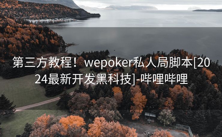 第三方教程！wepoker私人局脚本[2024最新开发黑科技]-哔哩哔哩