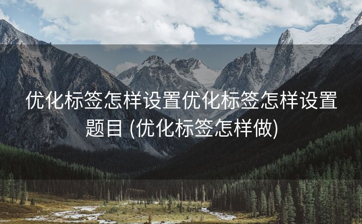 优化标签怎样设置优化标签怎样设置题目 (优化标签怎样做)