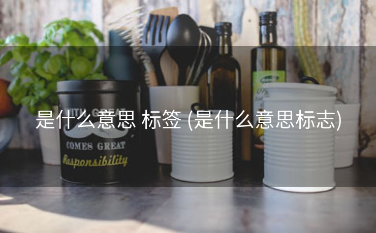 是什么意思 标签 (是什么意思标志)