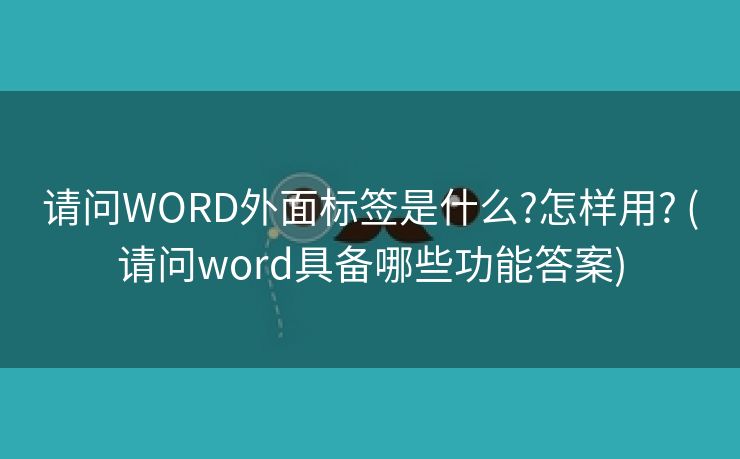 请问WORD外面标签是什么?怎样用? (请问word具备哪些功能答案)