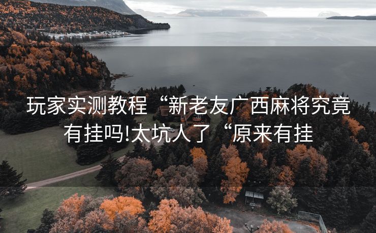 玩家实测教程“新老友广西麻将究竟有挂吗!太坑人了“原来有挂