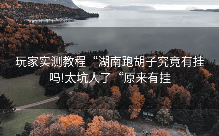 玩家实测教程“湖南跑胡子究竟有挂吗!太坑人了“原来有挂