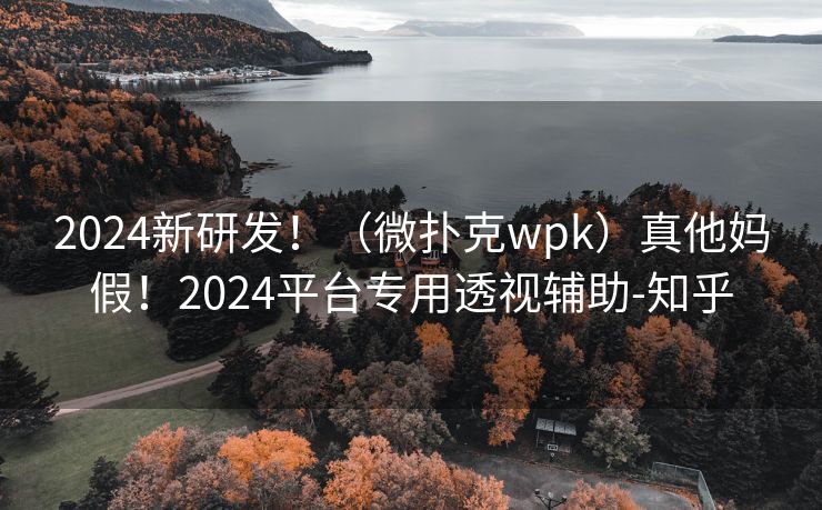 2024新研发！（微扑克wpk）真他妈假！2024平台专用透视辅助-知乎