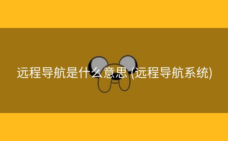 远程导航是什么意思 (远程导航系统)
