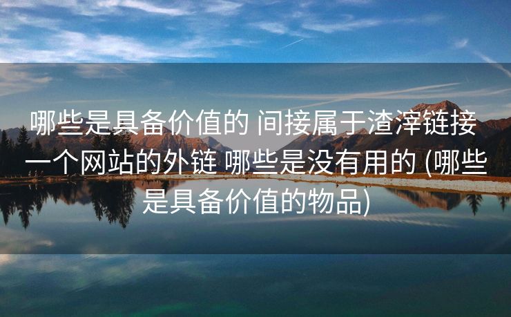 哪些是具备价值的 间接属于渣滓链接 一个网站的外链 哪些是没有用的 (哪些是具备价值的物品)