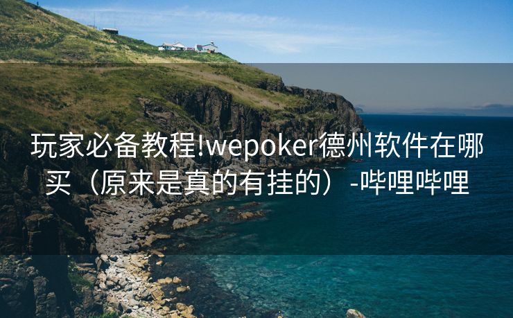 玩家必备教程!wepoker德州软件在哪买（原来是真的有挂的）-哔哩哔哩