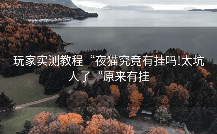 玩家实测教程“夜猫究竟有挂吗!太坑人了“原来有挂
