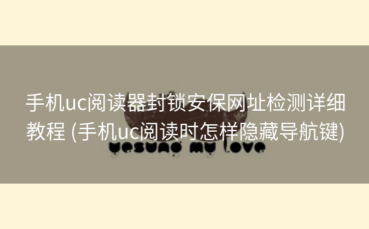 手机uc阅读器封锁安保网址检测详细教程 (手机uc阅读时怎样隐藏导航键)