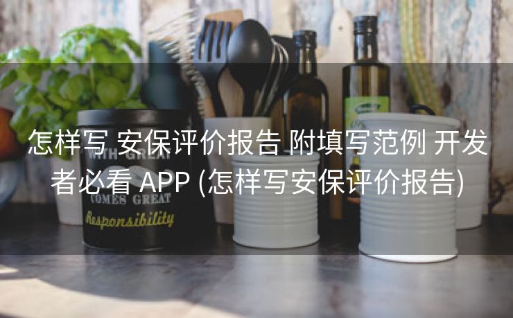 怎样写 安保评价报告 附填写范例 开发者必看 APP (怎样写安保评价报告)