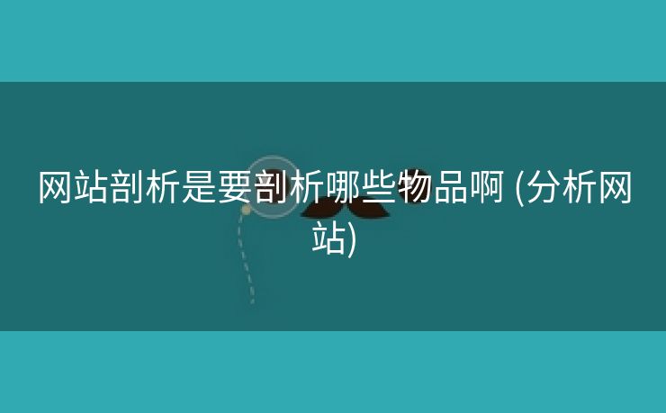 网站剖析是要剖析哪些物品啊 (分析网站)