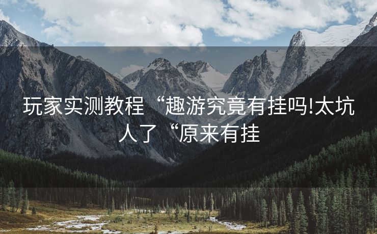 玩家实测教程“趣游究竟有挂吗!太坑人了“原来有挂