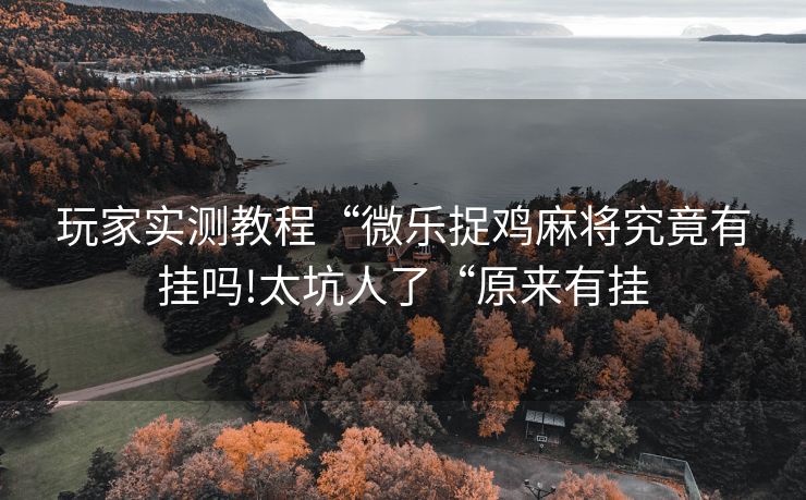 玩家实测教程“微乐捉鸡麻将究竟有挂吗!太坑人了“原来有挂