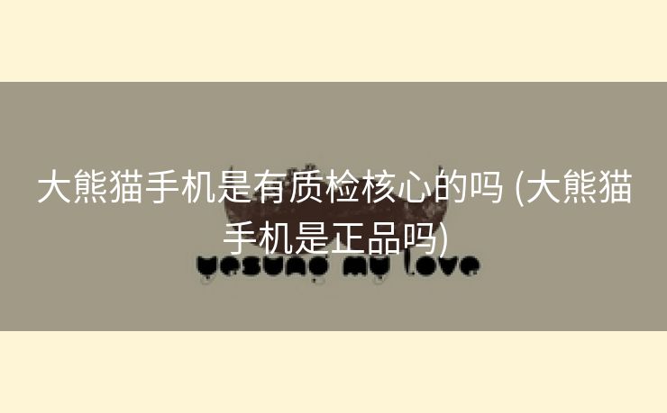 大熊猫手机是有质检核心的吗 (大熊猫手机是正品吗)