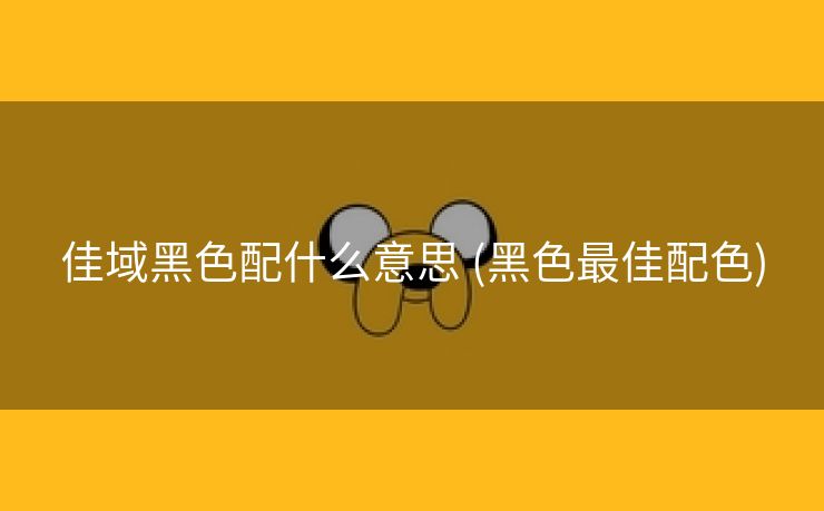 佳域黑色配什么意思 (黑色最佳配色)