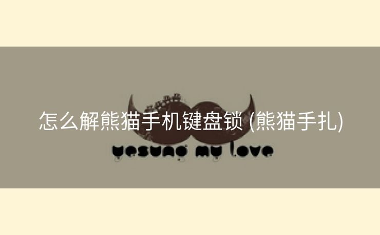 怎么解熊猫手机键盘锁 (熊猫手扎)