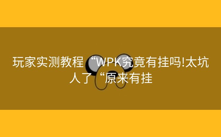 玩家实测教程“WPK究竟有挂吗!太坑人了“原来有挂 玩家实测教程“WPK究竟有挂吗!太坑人了“原来有挂